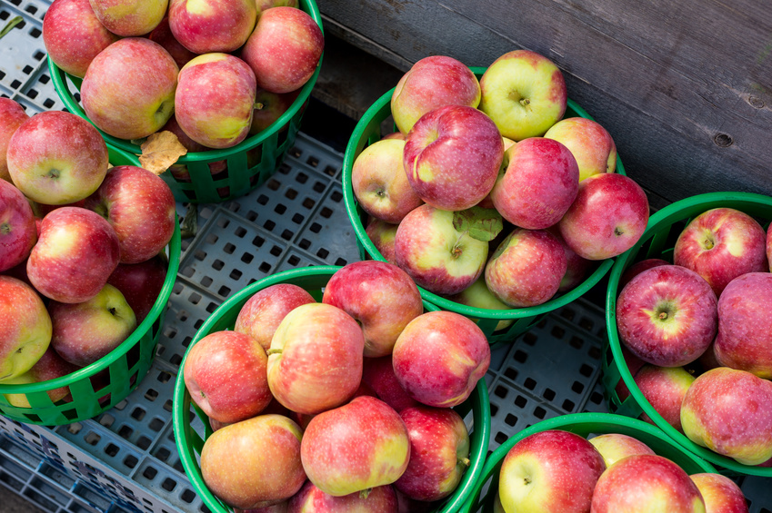 #wildaboutwednesday   Cuyama Orchards