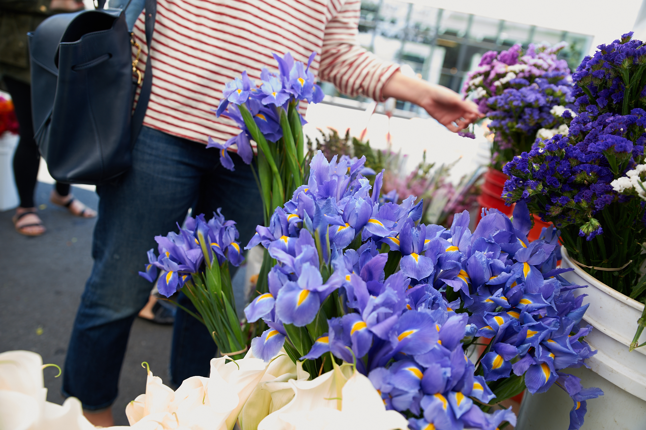 #wildaboutwednesday    Skyline Flowers