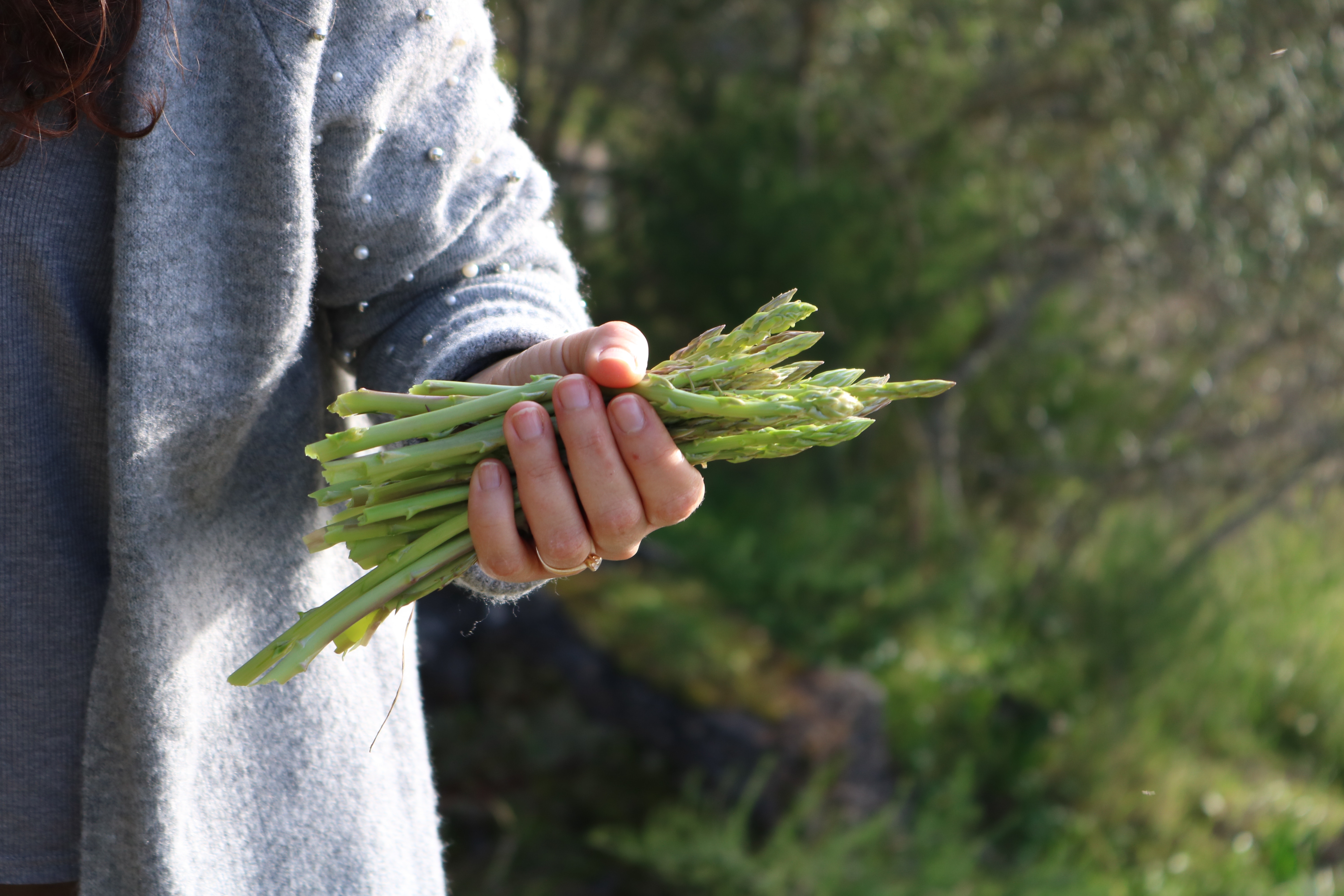 #thursdaythrive   all about Asparagus!