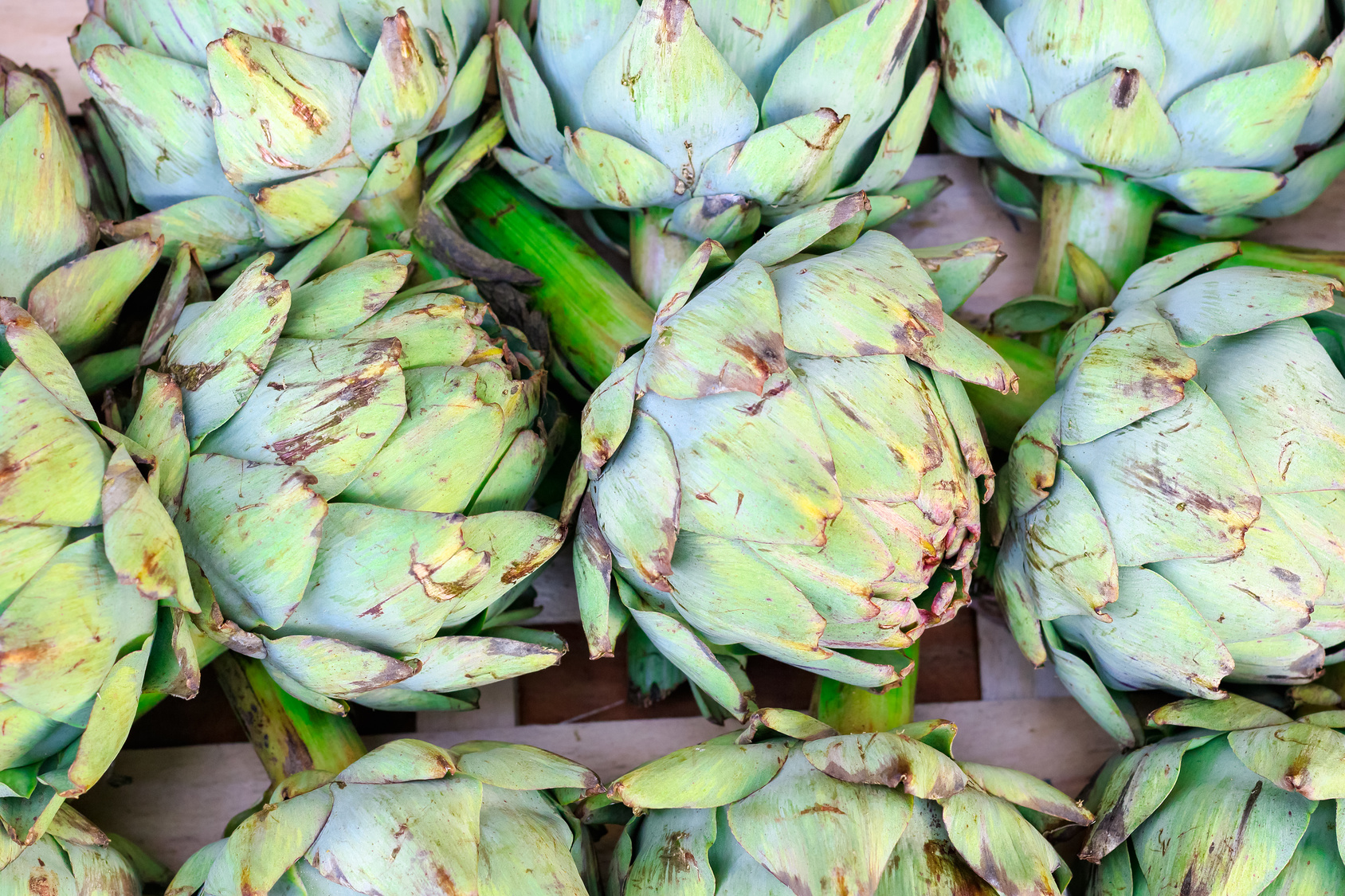 #thursdaythrive    all about Artichokes!