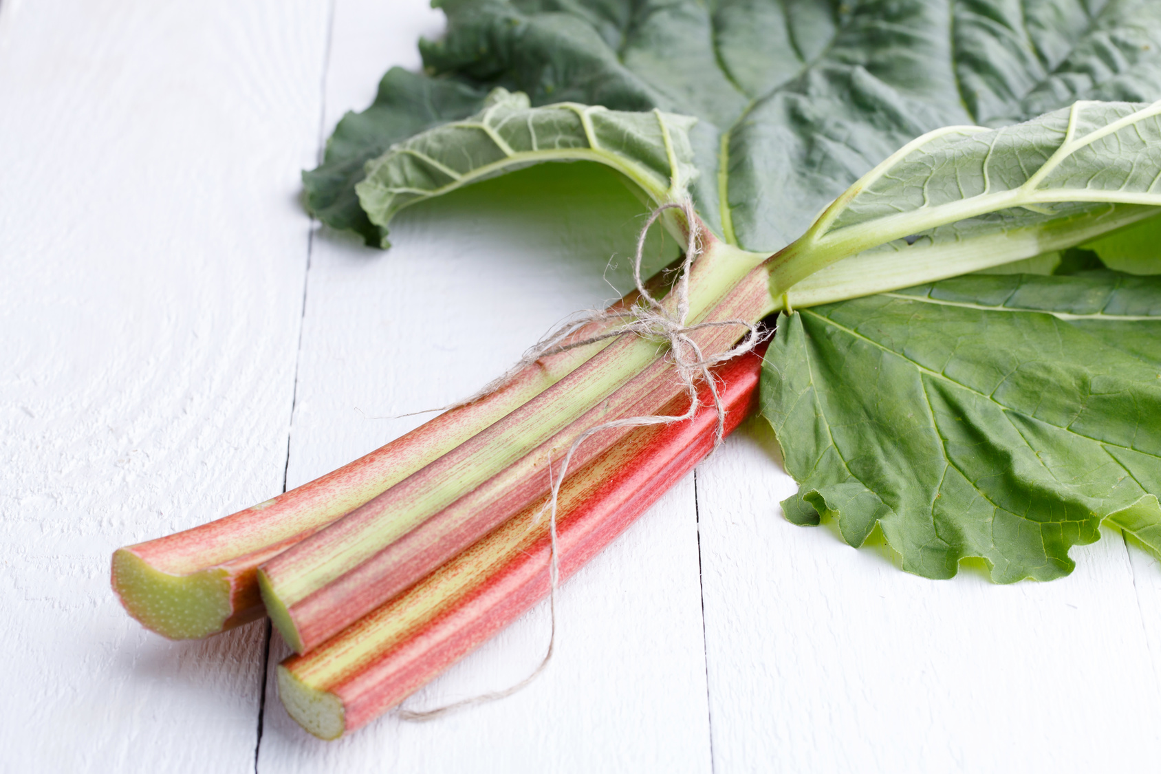 #thursdaythrive   all about Rhubarb!