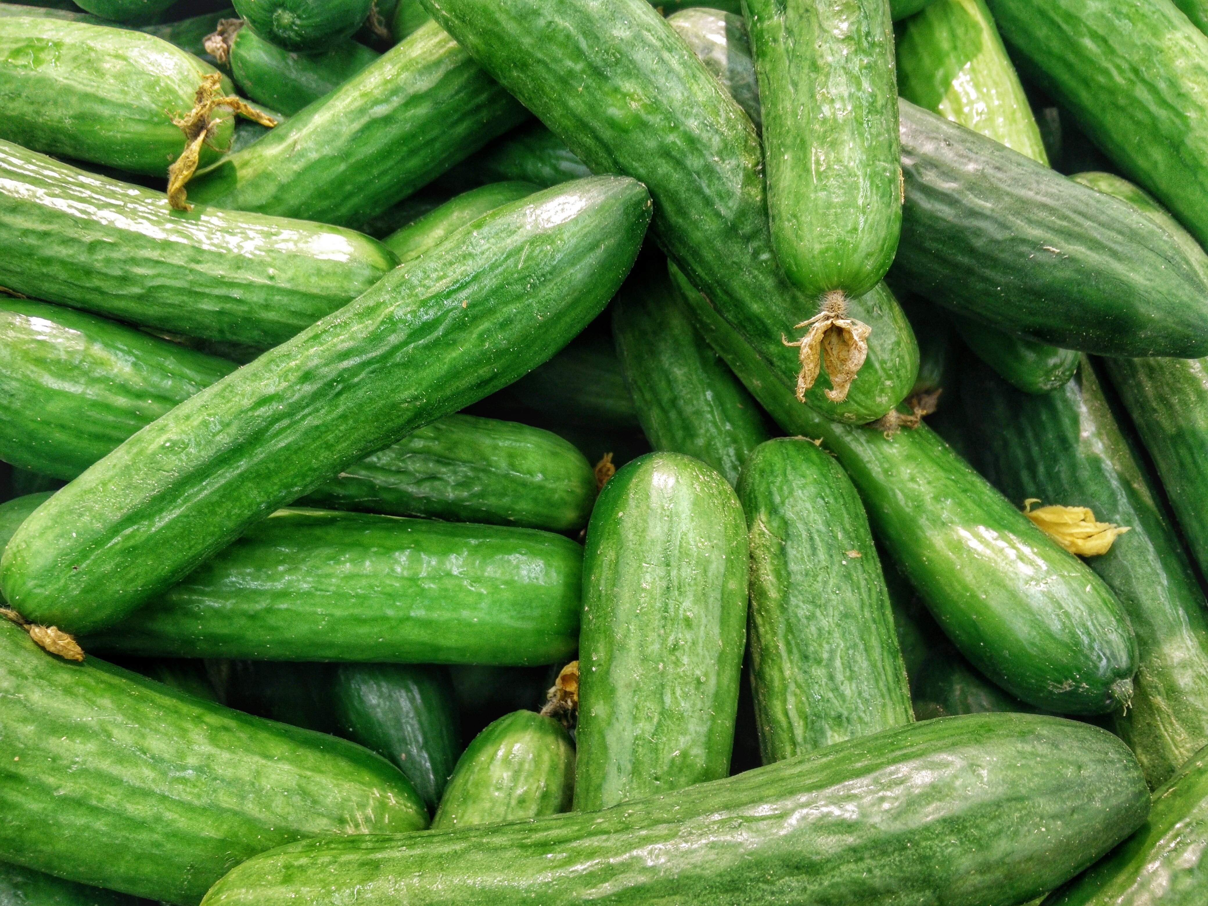 #thursdaythrive    all about Cucumbers!