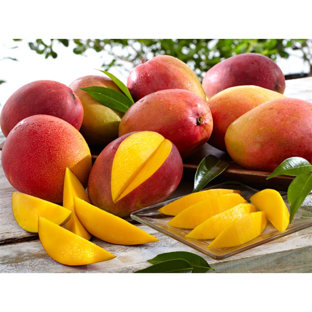 #thursdaythrive   all about Mangos