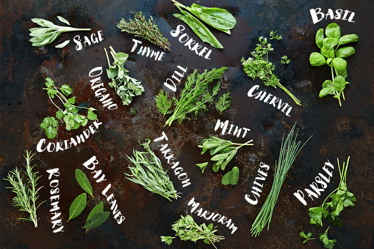 #thursdaythrive   all about Fresh Herbs