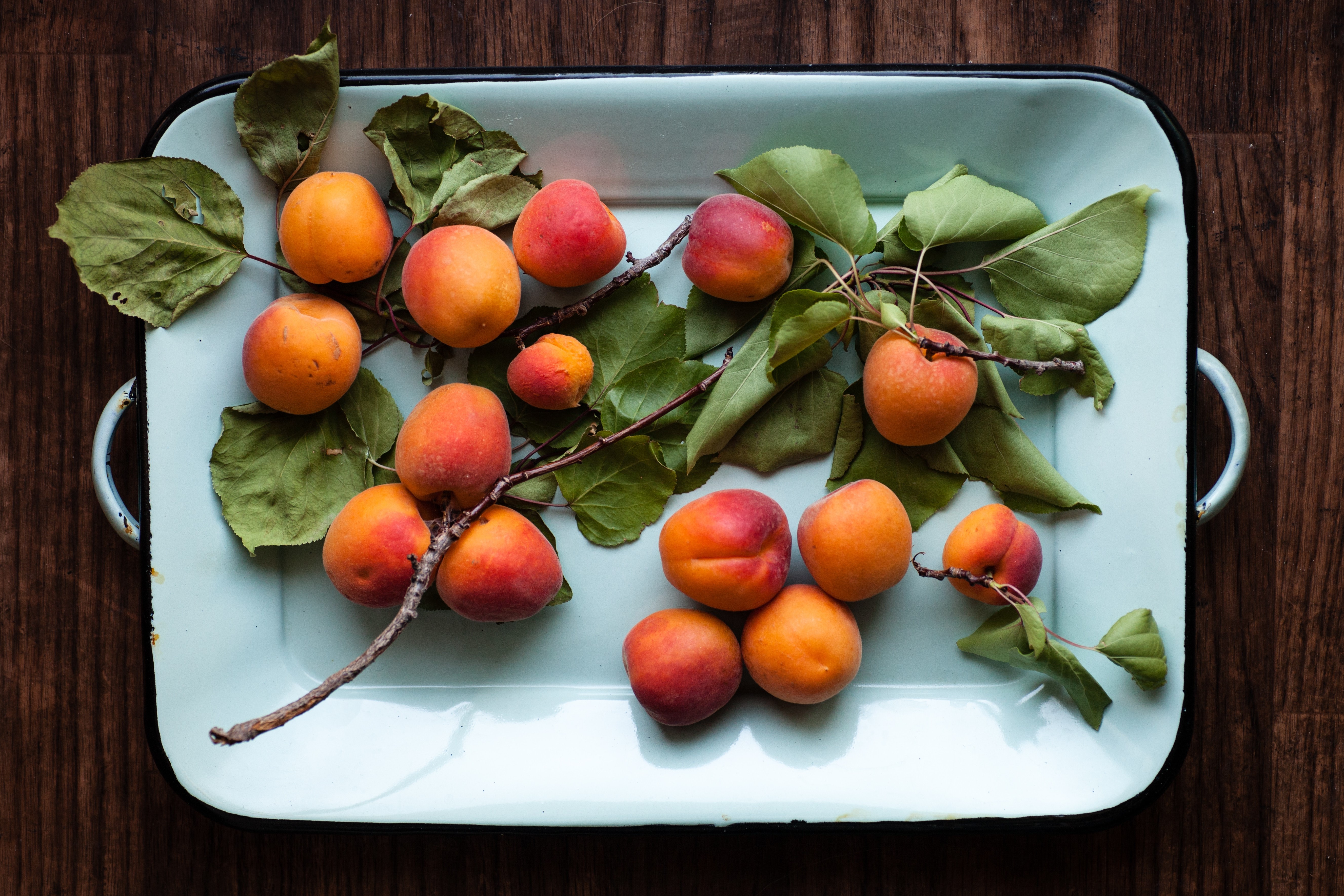 #thursdaythrive   all about Apricots