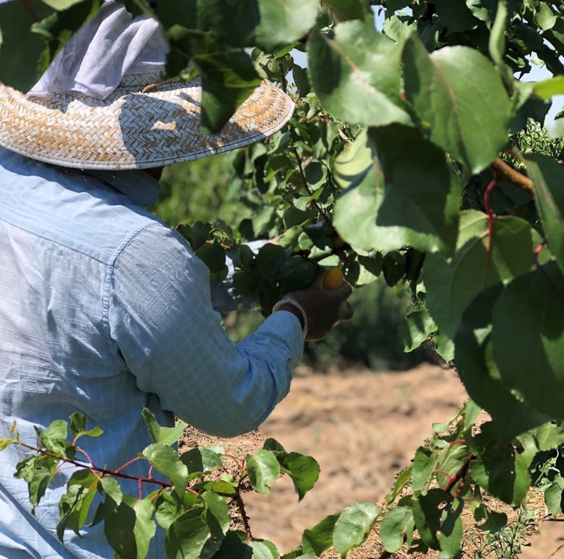 #treatyourselftuesday   Ramone’s Family Farm