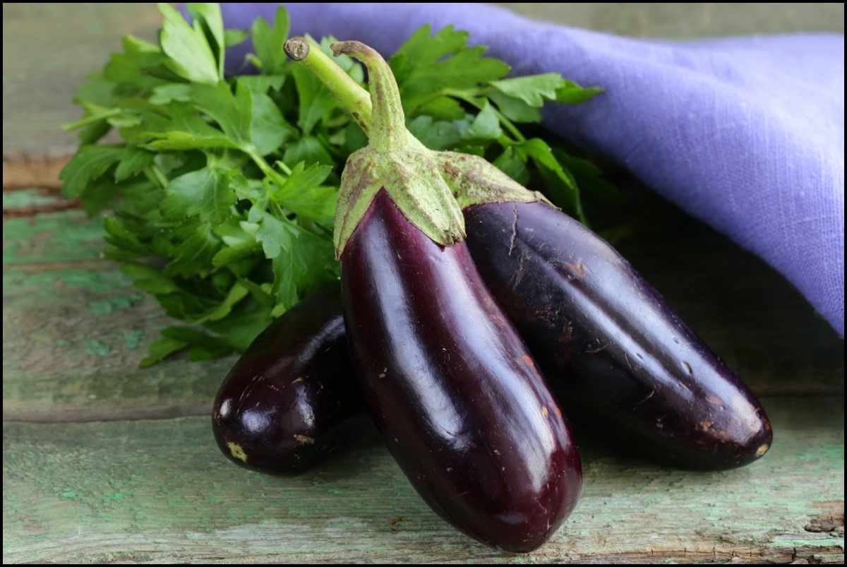 #thursdaythrive   Eggplant … or Aubergine?!