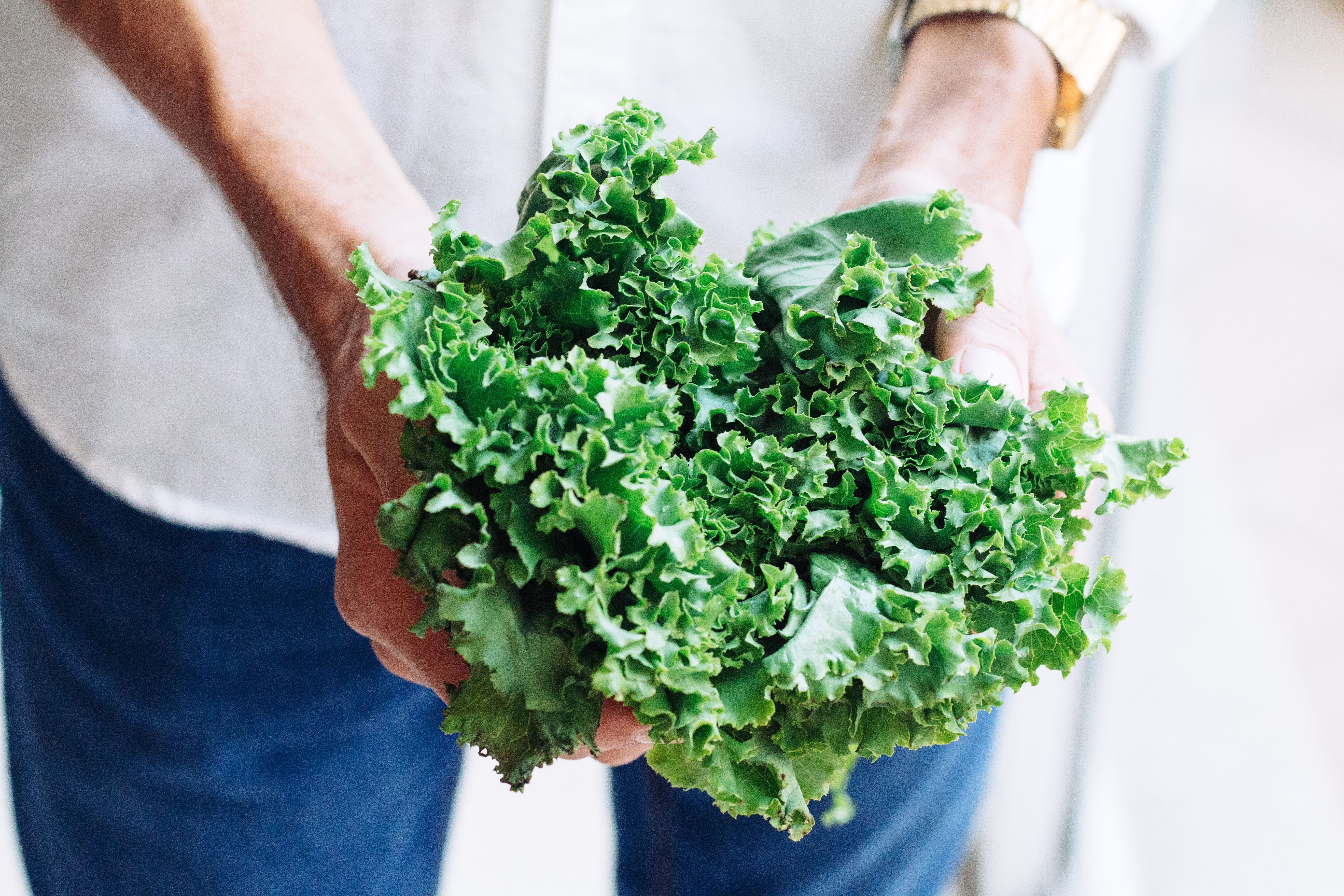 It’s National Kale Day! Celebrate with us!