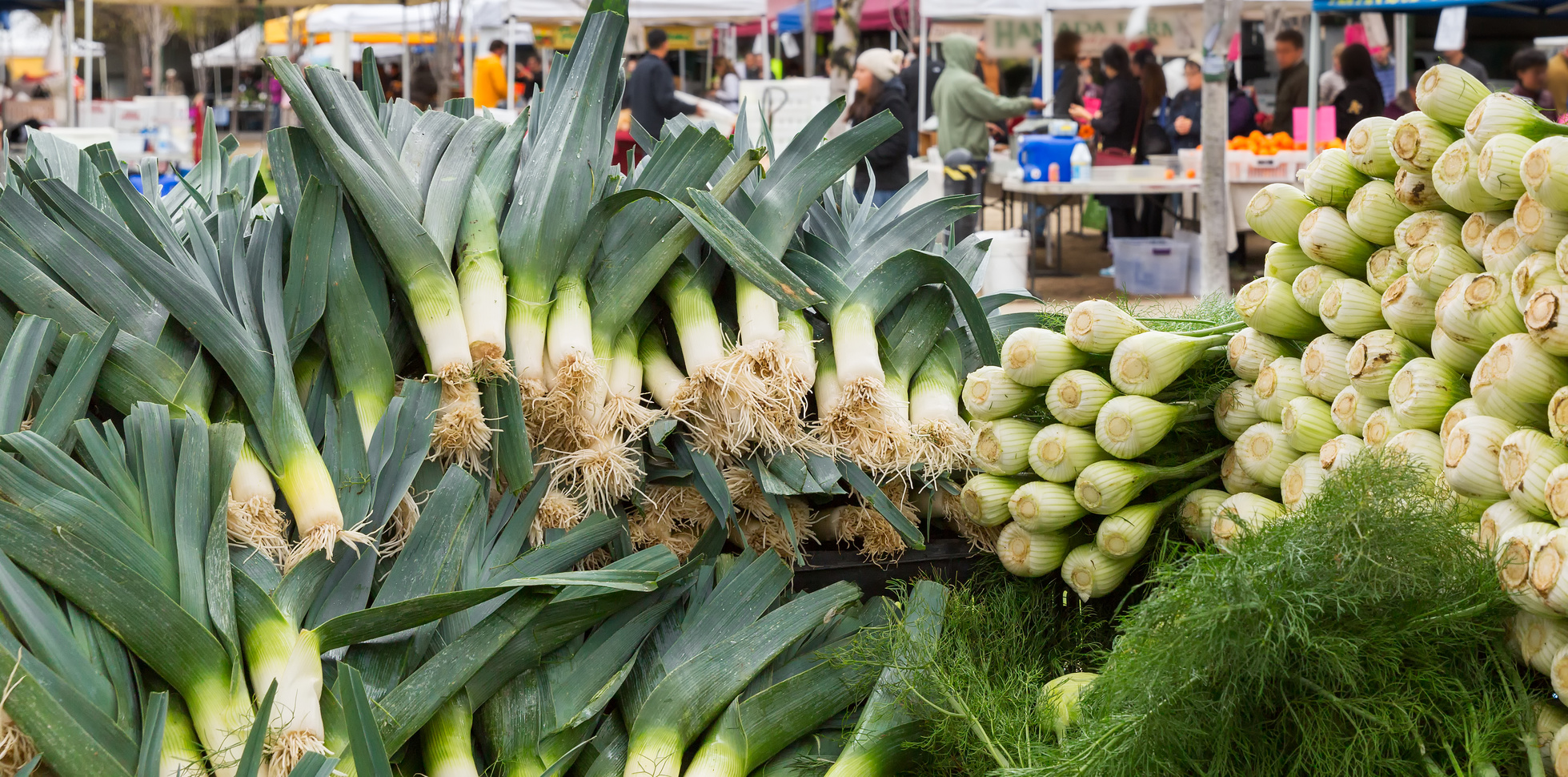 #thursdaythrive          All about Leeks!