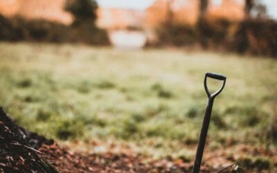 About The Farm: March Cleanup