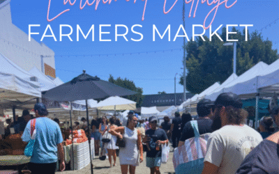 Midweek Magic: Discover the Wednesday Larchmont Village Farmers Market
