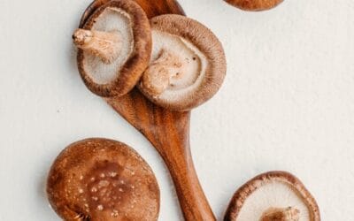 Wild Mushroom & Spring Herb Galette Recipe