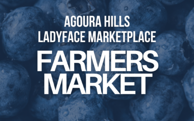 Agoura Hills Ladyface Market Returns May 14!