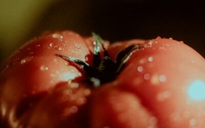Save a Little Summer: How to Save Heirloom Tomato Seeds for Next Year’s Garden