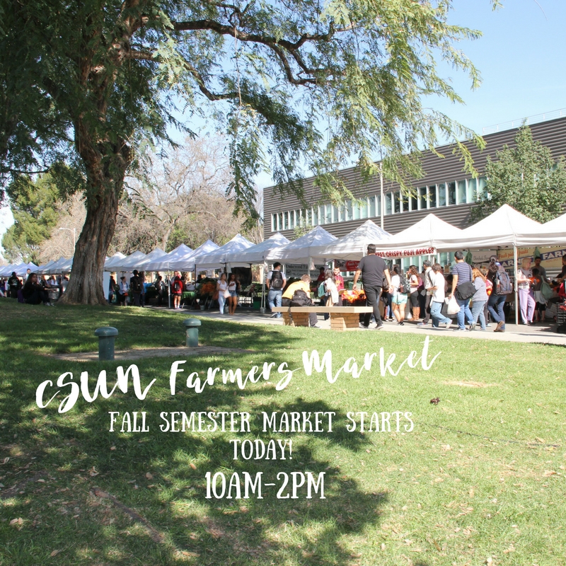 CSUN Fall Semester Opening Day! CCFM Blog
