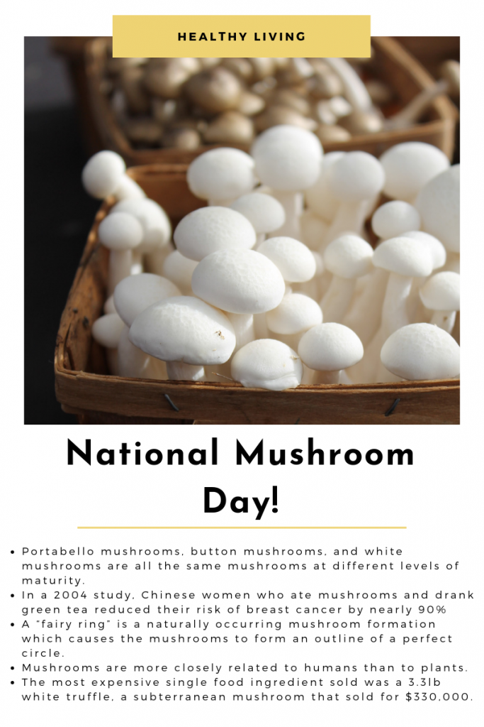 National Mushroom Day! CCFM Blog
