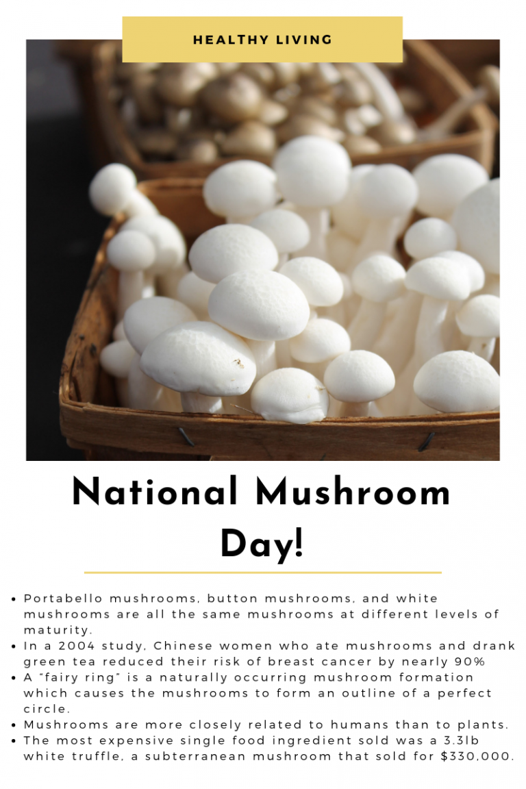 National Mushroom Day! CCFM Blog