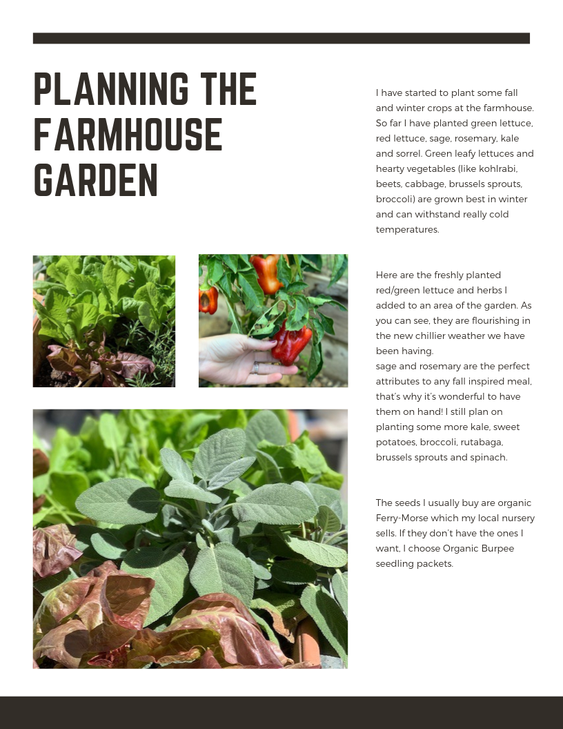 Autumn Garden Prep Guide To Growing Planting Ccfm Blog