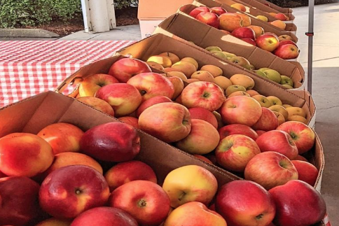 Nicholas Family Farms Apples, Larchmont Farmers Market
