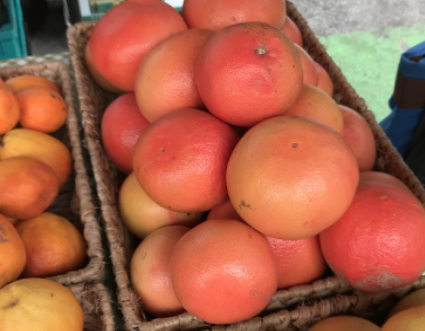 Grapefruits, Victor Gonzalez Farms