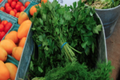 Parsley, Ayala Farms 